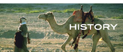 bedouin history