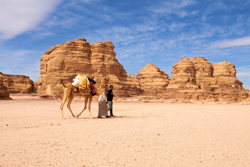 camel safari in Sinai