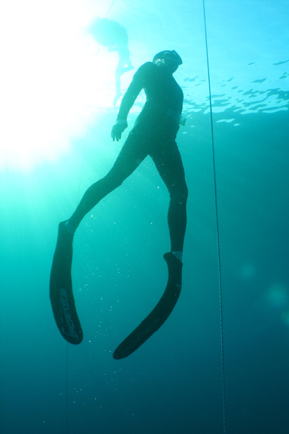 freediver in the sea