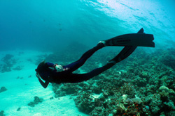 freediver in ocean